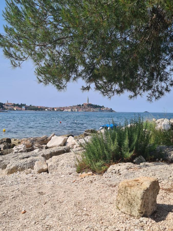 Hemy Casa - Lux Mobile Homes Rovinj Buitenkant foto